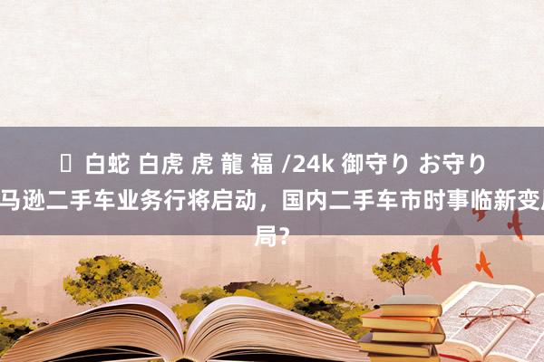 ✨白蛇 白虎 虎 龍 福 /24k 御守り お守り 亚马逊二手车业务行将启动，国内二手车市时事临新变局？