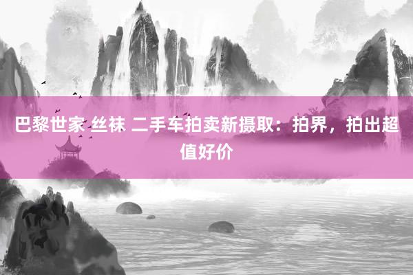 巴黎世家 丝袜 二手车拍卖新摄取：拍界，拍出超值好价