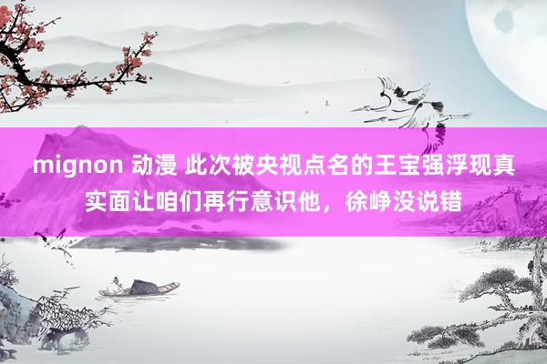 mignon 动漫 此次被央视点名的王宝强浮现真实面让咱们再行意识他，徐峥没说错
