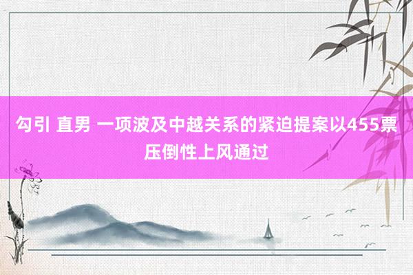 勾引 直男 一项波及中越关系的紧迫提案以455票压倒性上风通过
