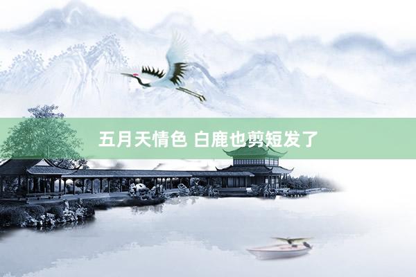 五月天情色 白鹿也剪短发了