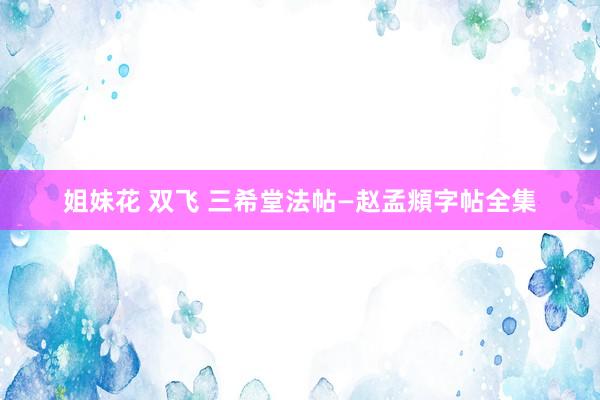 姐妹花 双飞 三希堂法帖—赵孟頫字帖全集