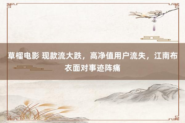 草榴电影 现款流大跌，高净值用户流失，江南布衣面对事迹阵痛
