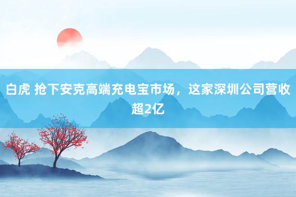 白虎 抢下安克高端充电宝市场，这家深圳公司营收超2亿